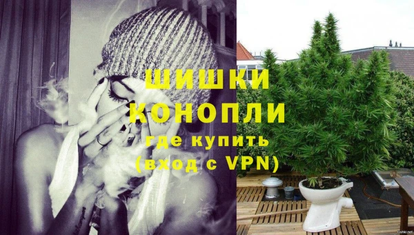спиды Сосновый Бор