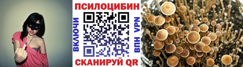 наркотики  Новочебоксарск  Псилоцибиновые грибы Psilocybine cubensis 